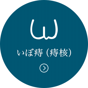 いぼ痔（痔核）へのリンク